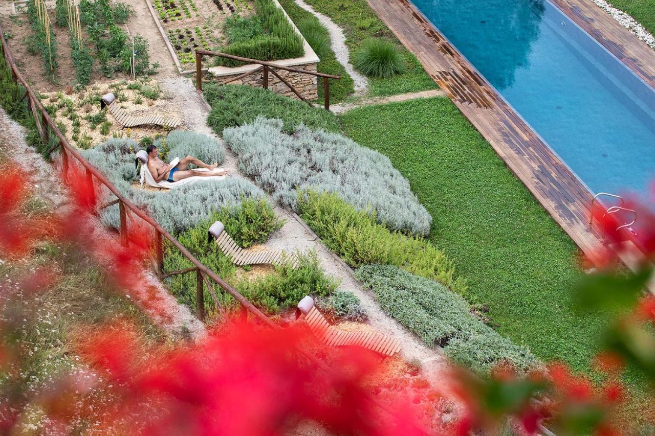 Dionisia'S Home, Pool, Spa On Monviso Unesco Alps Verzuolo Екстериор снимка