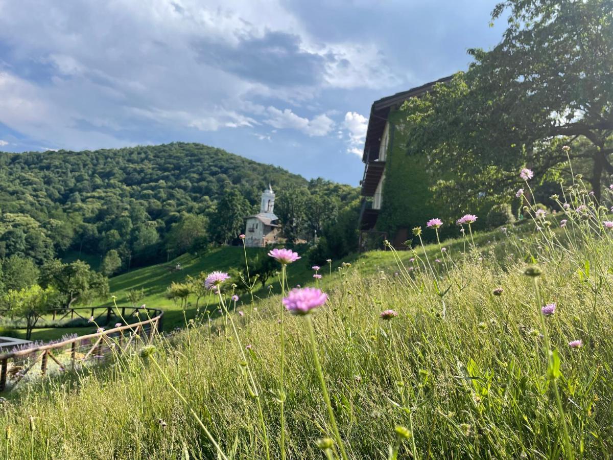 Dionisia'S Home, Pool, Spa On Monviso Unesco Alps Verzuolo Екстериор снимка