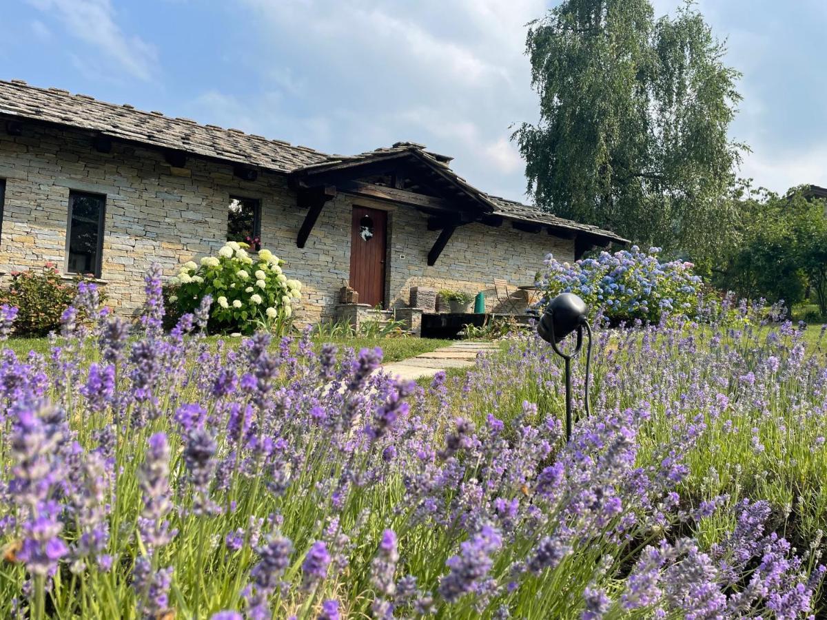 Dionisia'S Home, Pool, Spa On Monviso Unesco Alps Verzuolo Екстериор снимка